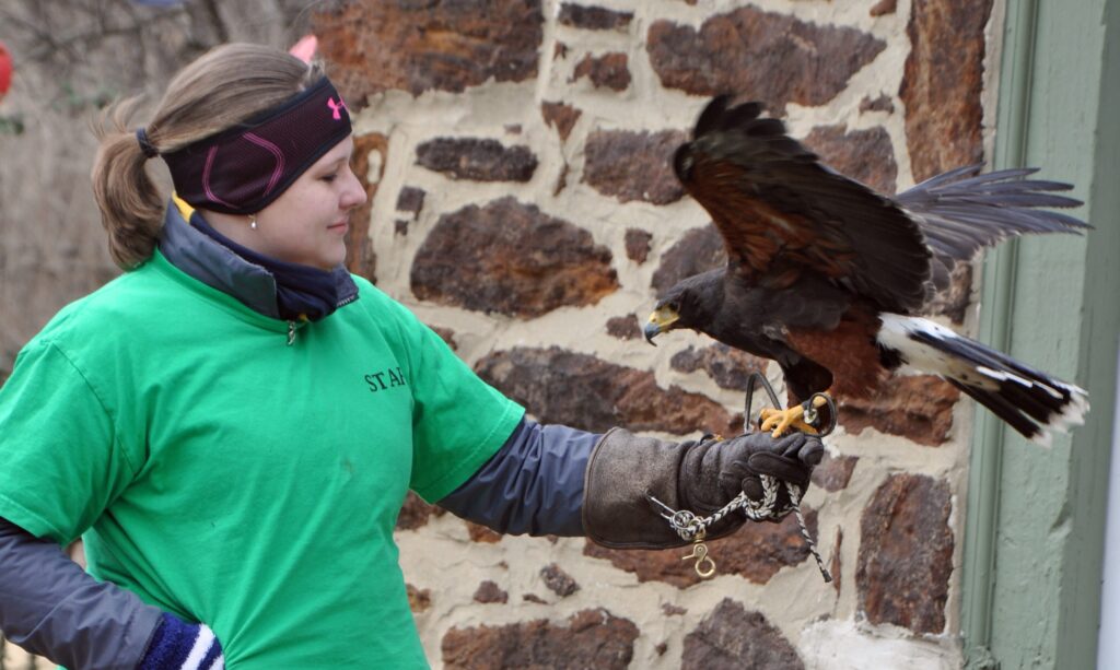 wildlife education program