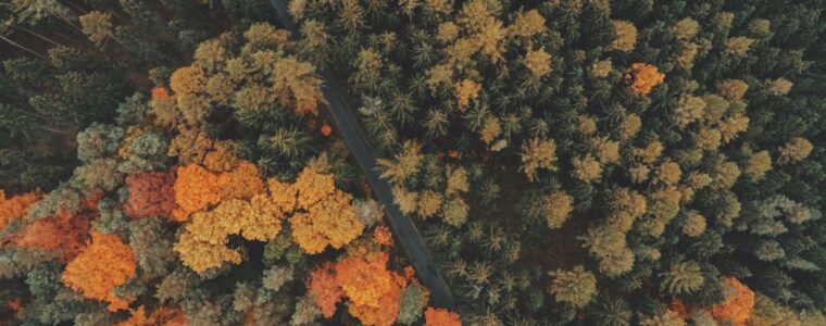 Fall Hawk Migration