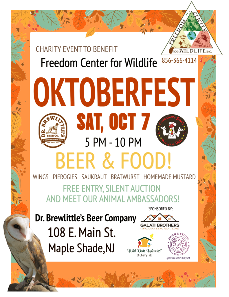 Flyer for Oktoberfest 2023, including a picture of Phantom the barn owl.