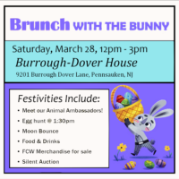 Brunch with the Bunny Ticket