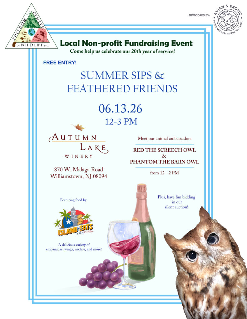 flyer for Summer Sips event, featuring all of the information mentioned previously